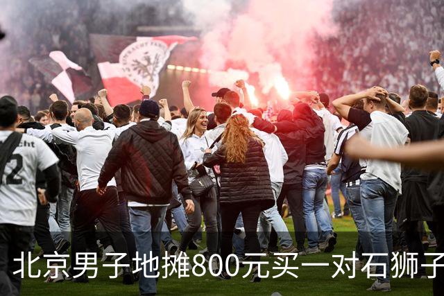 北京男子地摊800元买一对石狮子，6年后狮头断裂，他见裂口后傻眼
